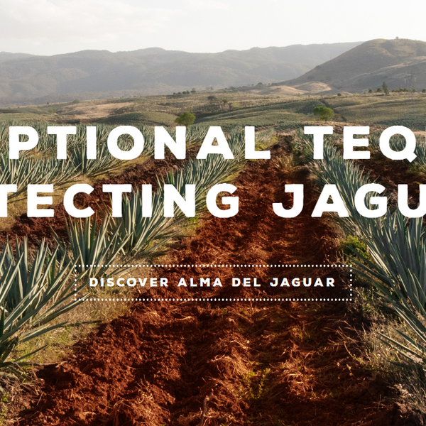 Alma Del Jaguar Tequila