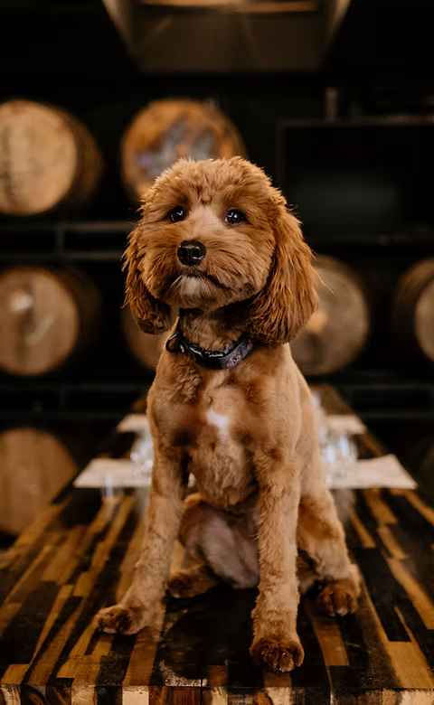 Nashville Barrel Company Single Barrel Straight Bourbon Whiskey