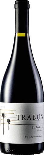 2015 Trabun Syrah Cachapoal Andes, Requinoa