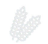 Grains/Materials